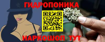 ECSTASY Новодвинск