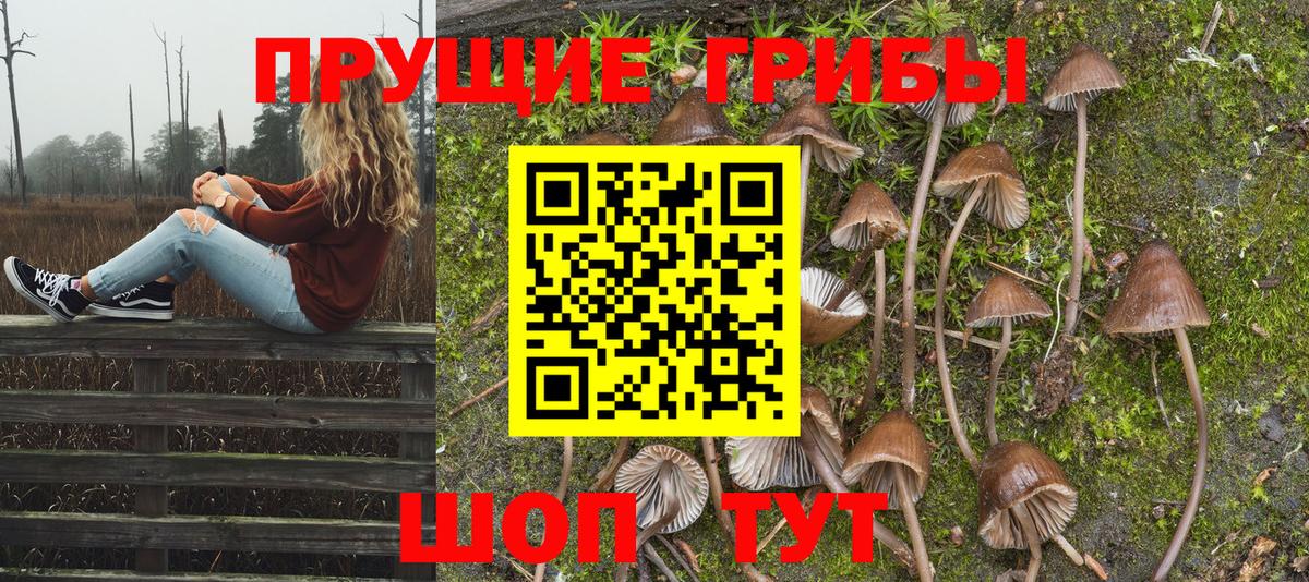 Галлюциногенные грибы Psilocybine cubensis Тихорецк
